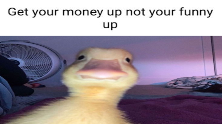 🦆 raise a ducky 🦆 screenshot 2