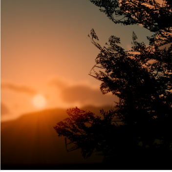 Sunset Plains