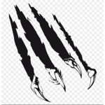 TIGER SCRATCH
