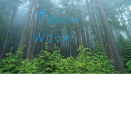 Woods of exploration