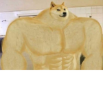 Doge much wow club
