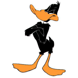 survive duck