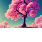 BL0SS0MS<3