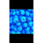.blueberry.life