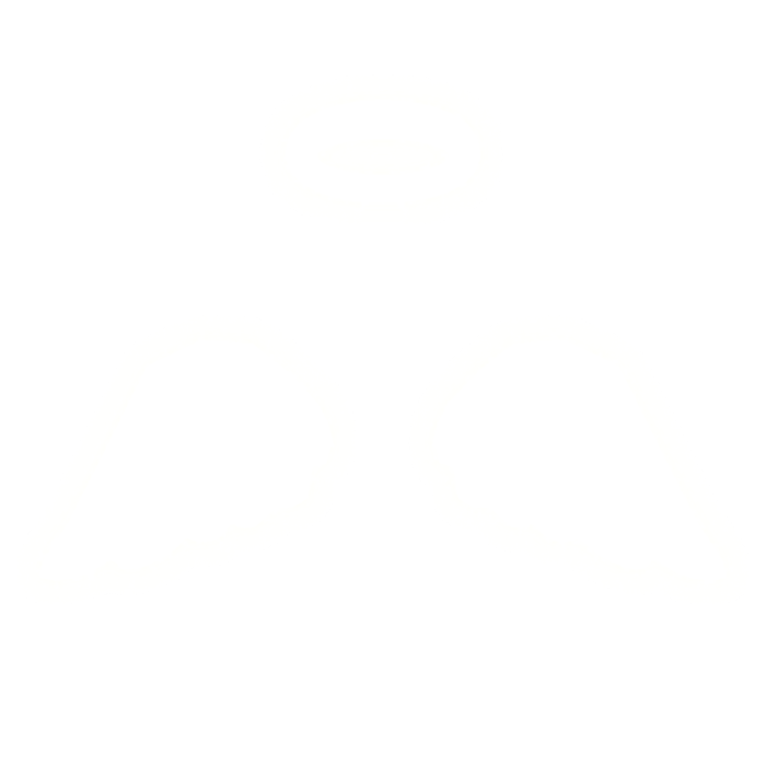 [GLOWING] Angel Wings with Halo