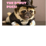 The donut pugs!