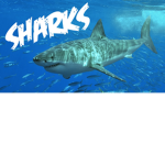 The sharks of the deep