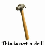 The Devs of The Nugget Club