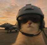 pilot