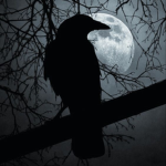 !RAVN
