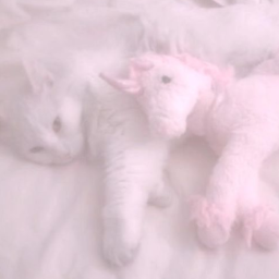♡