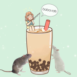~ boba rats ~
