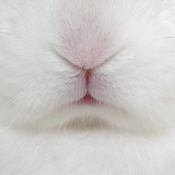 ♡