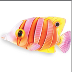 The official fishy’s