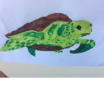 TurtlesAreCute