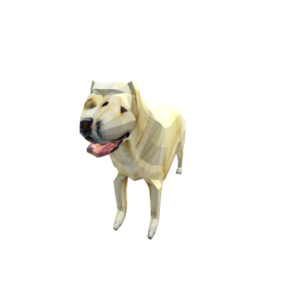 rlydawg