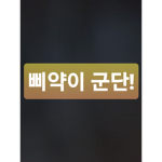 삐약이 군단!!