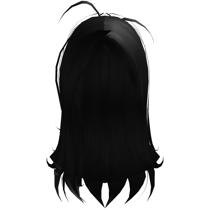 Black Scruffy Long Shag