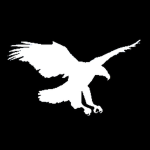 AirEagle | Airline