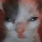 Raiders of the Shadow