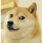 Doge vibe squad