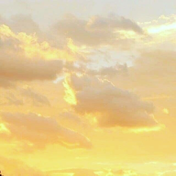 ʚ🍰 ɞ