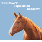 Sunflower Equestrian Academy