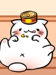 Join the team if you love cats