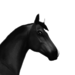 Roblox International Equestrian Federation