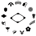 [Reaper 2] Soul Society