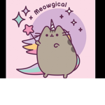 Unicorns And Rainbow Believer