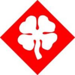4th Alpine Division, 1990’s