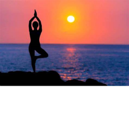 Yoga Studio!