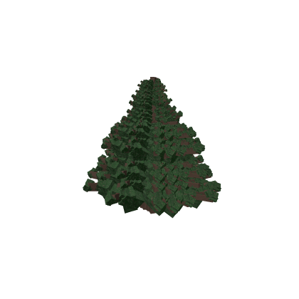 Pine Tree