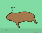 Capybara's Are Really Cute!