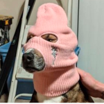 DankAndFriends