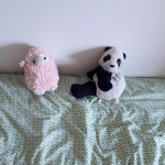 PandaKings Crew