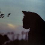 - polina -