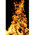 Blazing_wolf Nation