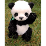 PANDY RIDIE