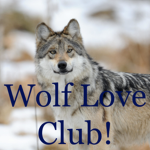 Wolf Love Club!