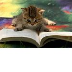 KITTEN LOVERZ AWSOME EPIC GROUP :D :D :D :D