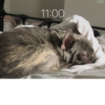 My dog names harry