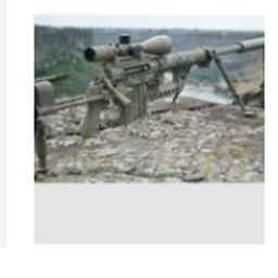 I Snipers I