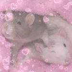 The Rats Group and the mice group cause why not