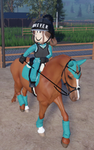 |~Forest Oaks Eventing~|