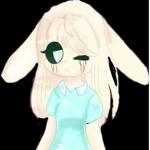 Piggy fan group bunny