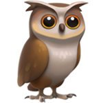 Owl Simulator - Official Group