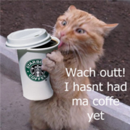 Coffie Cat Roblox decal