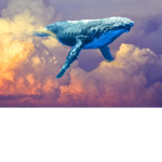 Cloud flufyashley